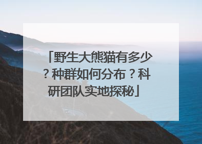 野生大熊猫有多少？种群如何分布？科研团队实地探秘