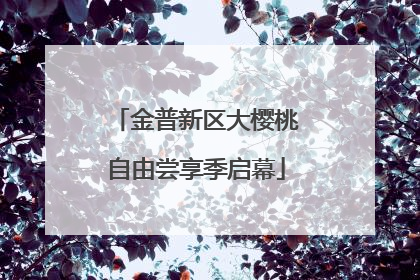 金普新区大樱桃自由尝享季启幕