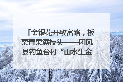 金银花开致富路，板栗青果满枝头——团风县钓鱼台村“山水生金”谱写共富新篇章