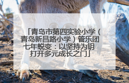 青岛市第四实验小学（青岛新昌路小学）管乐团七年蜕变：以坚持为钥 打开多元成长之门