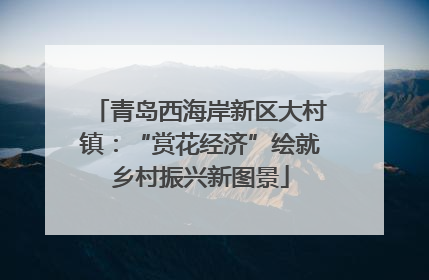 青岛西海岸新区大村镇：“赏花经济”绘就乡村振兴新图景