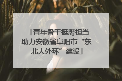 青年骨干挺膺担当 助力安徽省阜阳市“东北大外环”建设