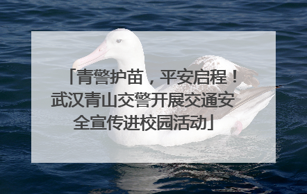 青警护苗，平安启程！武汉青山交警开展交通安全宣传进校园活动
