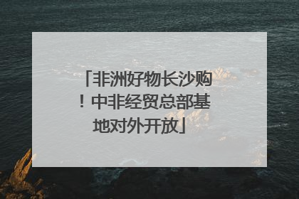 非洲好物长沙购！中非经贸总部基地对外开放