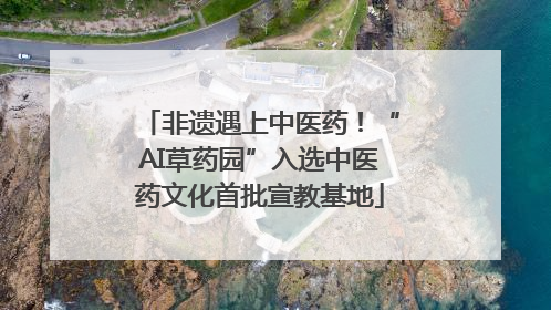 非遗遇上中医药！“AI草药园”入选中医药文化首批宣教基地
