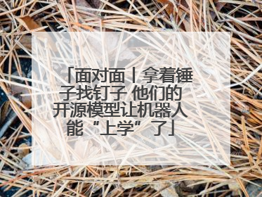 面对面丨拿着锤子找钉子 他们的开源模型让机器人能“上学”了