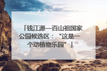 钱江源—百山祖国家公园候选区：“这是一个动植物乐园”