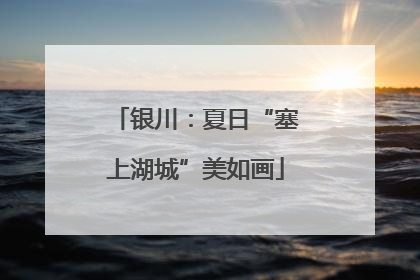 银川：夏日“塞上湖城”美如画
