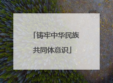 铸牢中华民族共同体意识