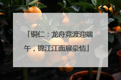 铜仁：龙舟竞渡迎端午，锦江江面展豪情