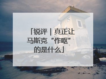 锐评｜真正让马斯克“作呕”的是什么