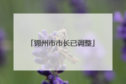 锦州市市长已调整