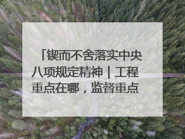 锲而不舍落实中央八项规定精神｜工程重点在哪，监督重点就在哪——广西深化政治监督护航平陆运河建设