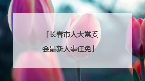 长春市人大常委会最新人事任免