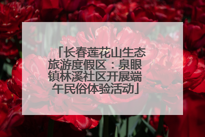 长春莲花山生态旅游度假区：泉眼镇林溪社区开展端午民俗体验活动