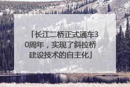 长江二桥正式通车30周年，实现了斜拉桥建设技术的自主化