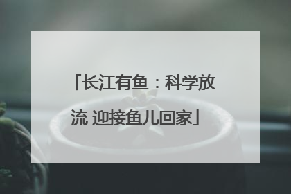 长江有鱼：科学放流 迎接鱼儿回家