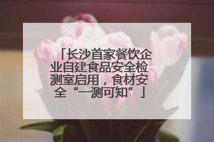 长沙首家餐饮企业自建食品安全检测室启用，食材安全“一测可知”