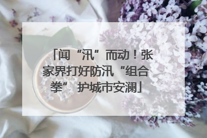 闻“汛”而动！张家界打好防汛“组合拳” 护城市安澜