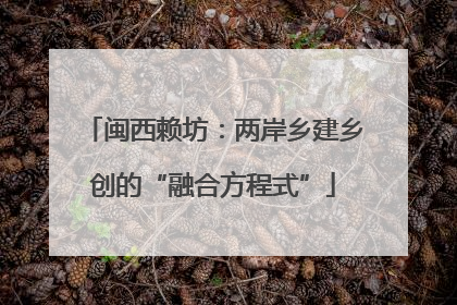 闽西赖坊：两岸乡建乡创的“融合方程式”