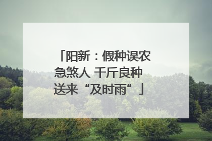 阳新：假种误农急煞人 千斤良种送来“及时雨”