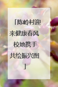陈岭村迎来健康春风 校地携手共绘振兴图
