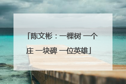陈文彬：一棵树 一个庄 一块碑 一位英雄