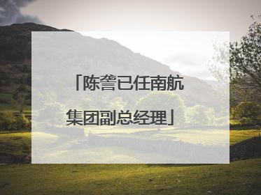陈詟已任南航集团副总经理