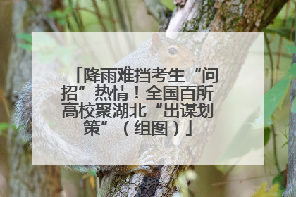 降雨难挡考生“问招”热情！全国百所高校聚湖北“出谋划策”（组图）