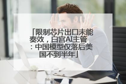 限制芯片出口未能奏效，白宫AI主管：中国模型仅落后美国不到半年