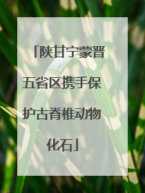 陕甘宁蒙晋五省区携手保护古脊椎动物化石