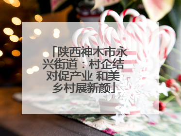 陕西神木市永兴街道：村企结对促产业 和美乡村展新颜
