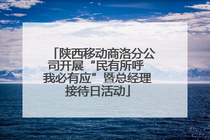 陕西移动商洛分公司开展“民有所呼 我必有应”暨总经理接待日活动