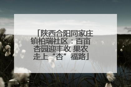 陕西合阳同家庄镇柏瑞社区：百亩杏园迎丰收 果农走上“杏”福路