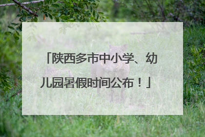 陕西多市中小学、幼儿园暑假时间公布！