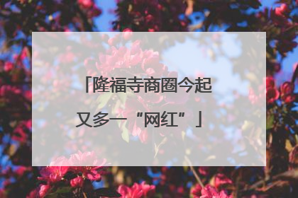 隆福寺商圈今起又多一“网红”