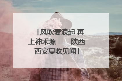 风吹麦浪起 再上神禾塬——陕西西安夏收见闻