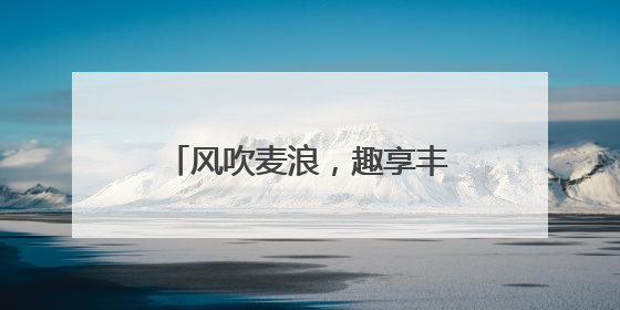 风吹麦浪，趣享丰收——五河县申集镇大李小学开展劳动教育实践活动