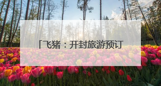 飞猪：开封旅游预订人次增速领跑全国