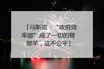 马斯克：“政府效率部”成了一切的替罪羊，这不公平