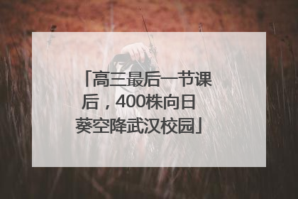 高三最后一节课后，400株向日葵空降武汉校园