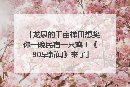 龙泉的千亩梯田想奖你一晚民宿一只鸡！《90早新闻》来了