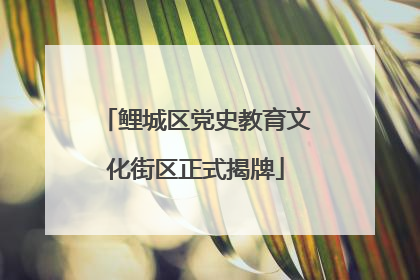 鲤城区党史教育文化街区正式揭牌