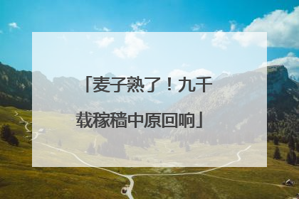 麦子熟了！九千载稼穑中原回响