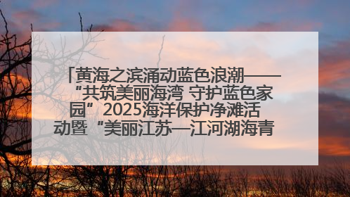 黄海之滨涌动蓝色浪潮——“共筑美丽海湾 守护蓝色家园”2025海洋保护净滩活动暨“美丽江苏—江河湖海青蓝行”海洋篇在连云港举行