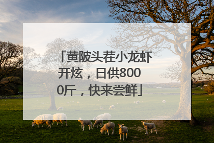 黄陂头茬小龙虾开炫，日供8000斤，快来尝鲜