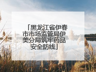 黑龙江省伊春市市场监管局伊美分局筑牢药品安全防线