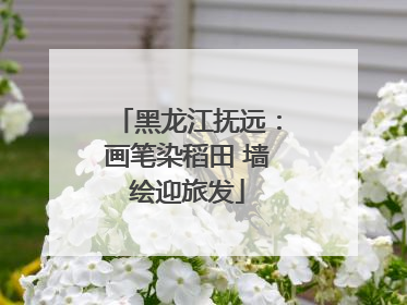 黑龙江抚远：画笔染稻田 墙绘迎旅发