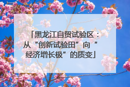 黑龙江自贸试验区：从“创新试验田”向“经济增长极”的质变