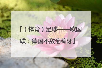 （体育）足球——欧国联：德国不敌葡萄牙